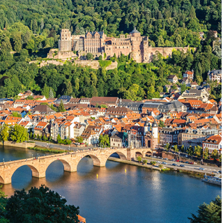 Baumpflege Heidelberg