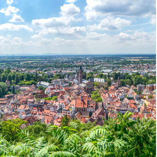 Baumpflege Weinheim