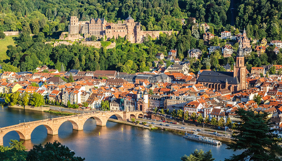 Baumfällungen, Baumschnitt, Gehölzschnitt und Baumgutachten in Heidelberg