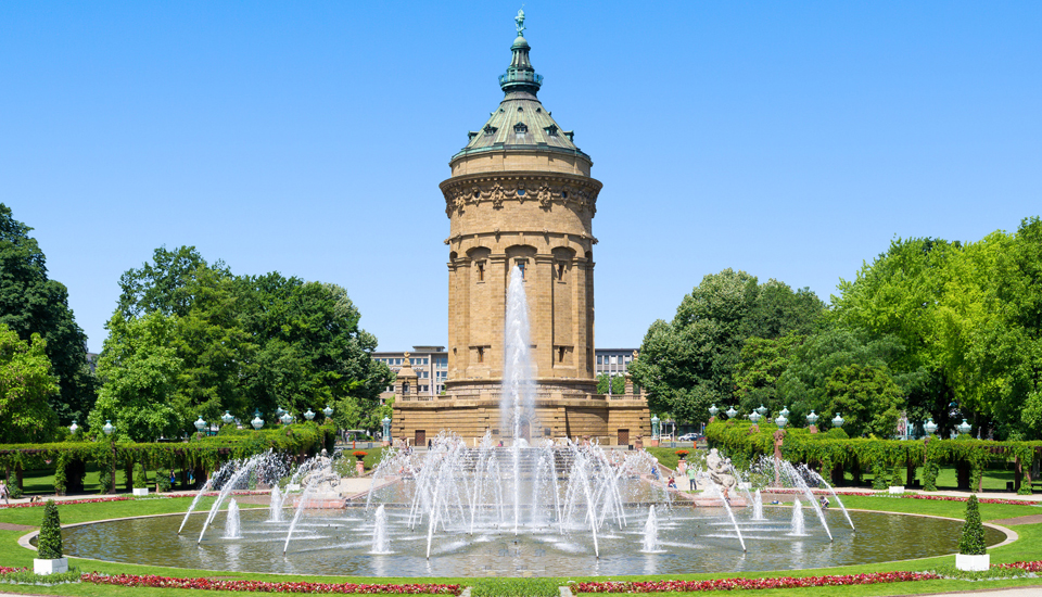 Baumfällungen, Baumschnitt, Gehölzschnitt und Baumgutachten in Mannheim