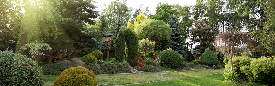 Bahner Baumpflege - Gartenpflege