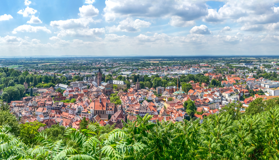 Baumfällungen, Baumschnitt, Gehölzschnitt und Baumgutachten in Weinheim